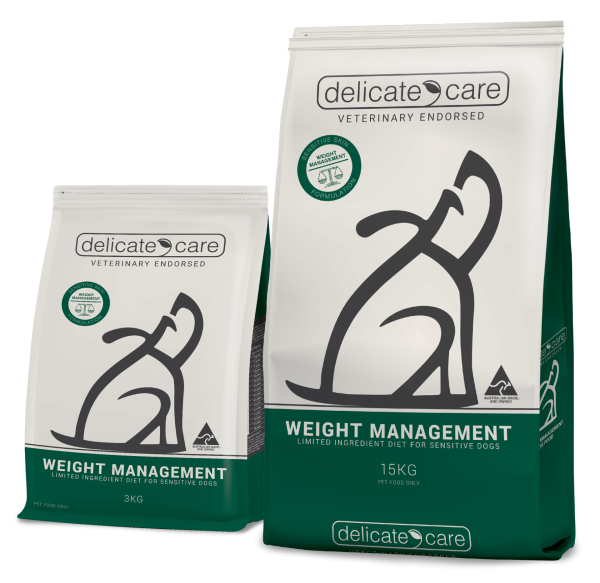 Delicate Care: Canine Weight Management