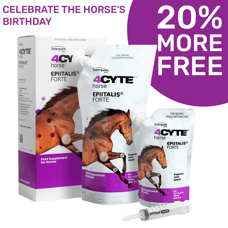 4CYTE Epiitalis Forte Horse