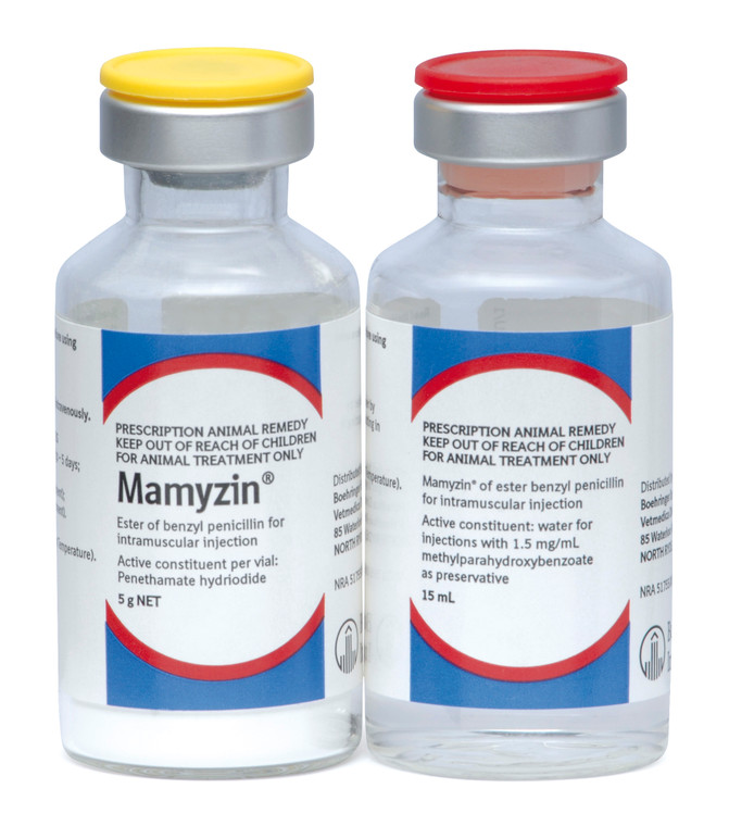 MAMYZIN Injection 10 x 5 g Vials + 15 mL Diluent (Cattle, Sheep, Pigs)