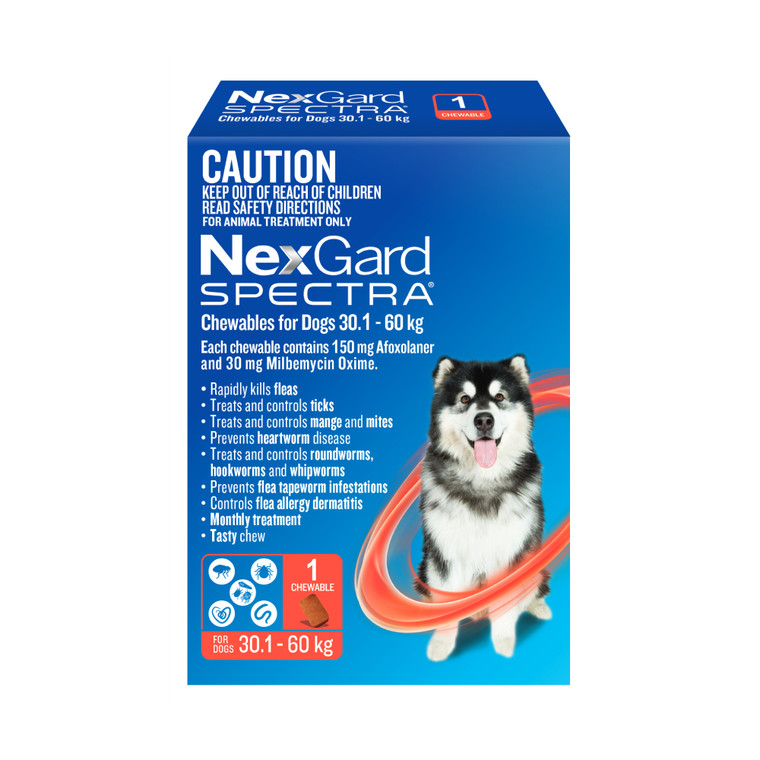 NEXGARD Spectra Chewables Dogs 30.1 - 60 kg 1 Chewable