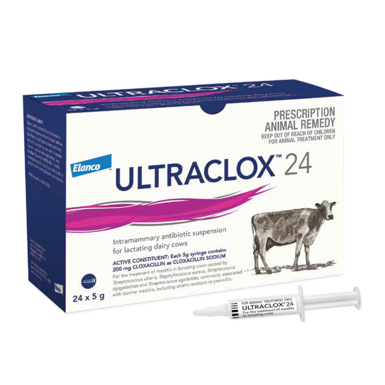 Ultraclox 24 Intramammary