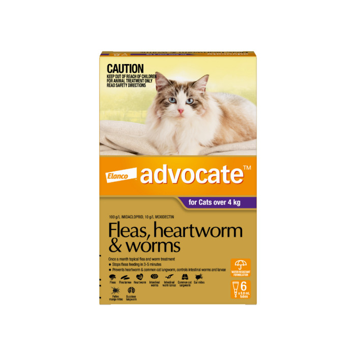 Advocate For Cats Over 4kg - 6 Doses