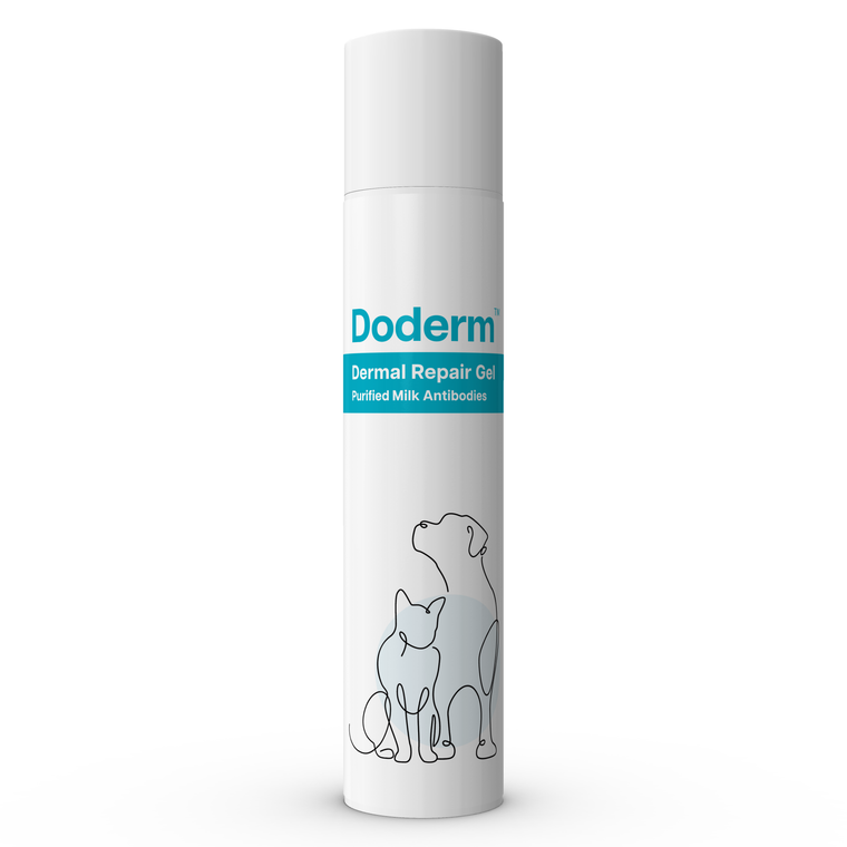Doderm Dermal Repair Gel 50 mL Pump Bottle