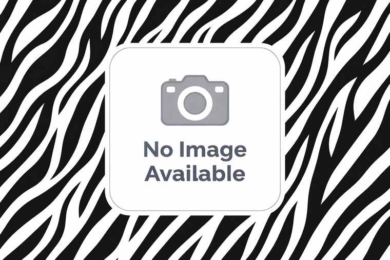 Carbodote Liquid Activated Charcoal 100 mL Bottle