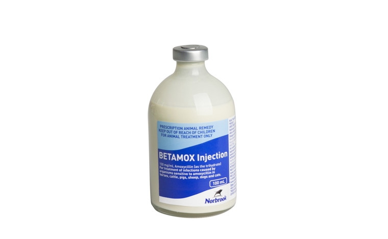 Betamox Injection 100mL (Amoxicillin 150mg/mL)