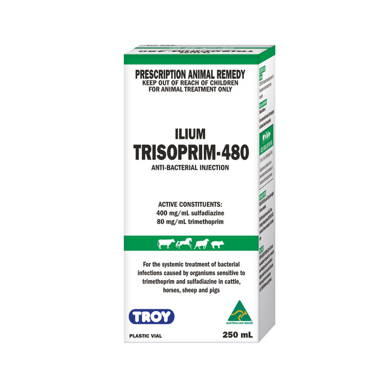 ilium Trisoprim-480 Anti-Bacterial Injection 250mL
