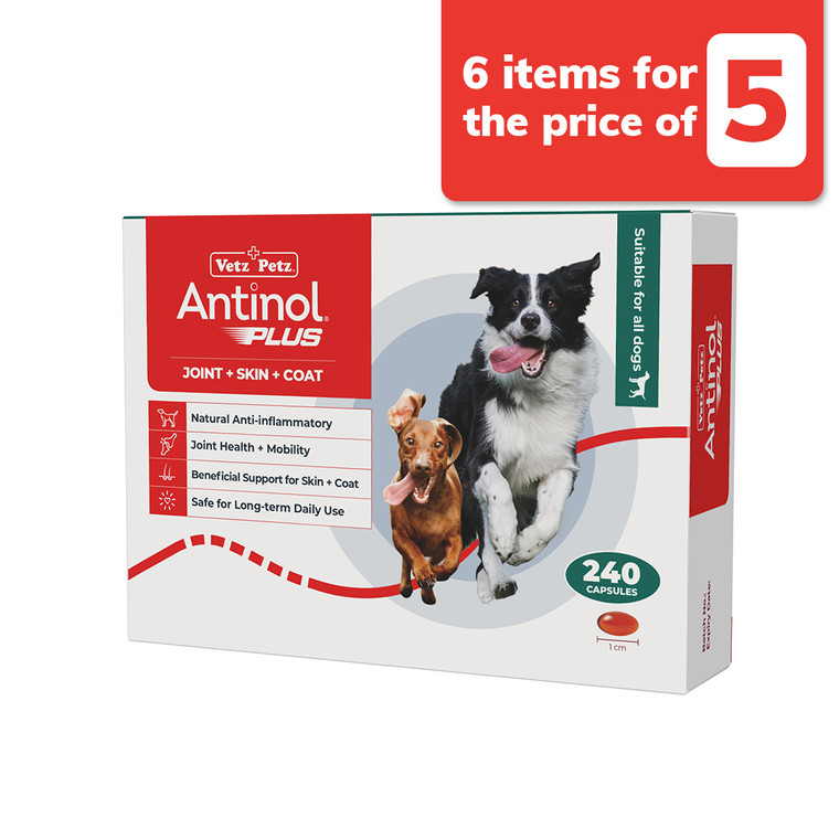 Antinol Plus Dog 240s