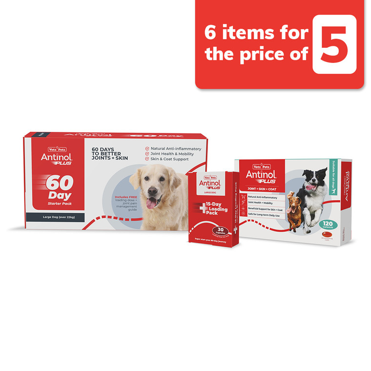 Antinol Plus Starter Kit - Large Dog