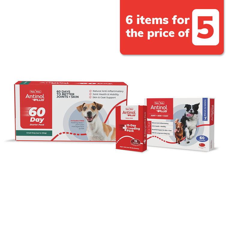 Antinol Plus Starter Kit - Small Dog