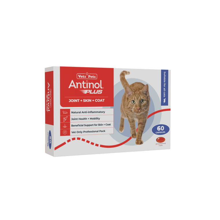 Antinol Plus Cat 60s 