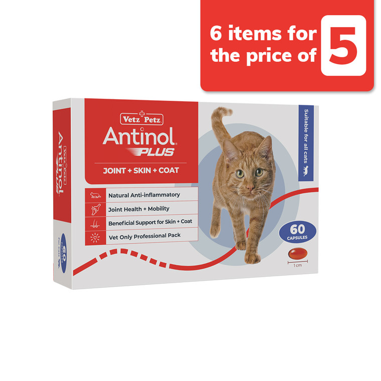 Antinol Plus Cat 60s 