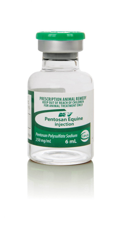 Pentosan Equine Injection 6ml