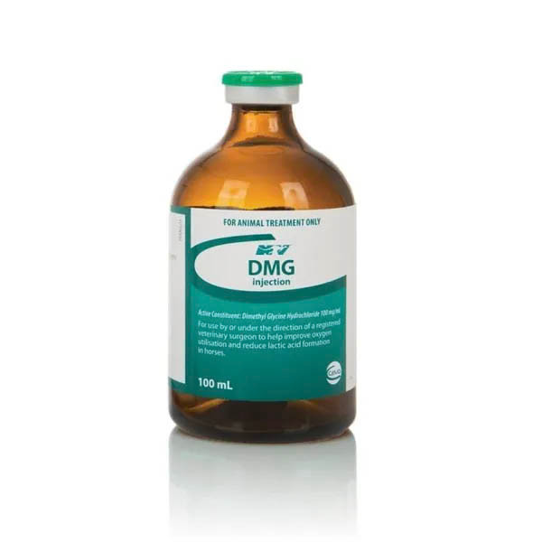 DMG Injection 100ml