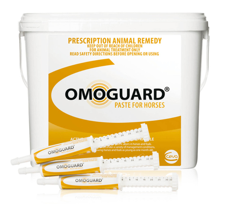 Omoguard Paste Stud Pail - 40 x 33g Syringe