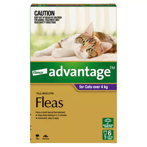 Advantage For Cats Over 4kg - 6 Pack