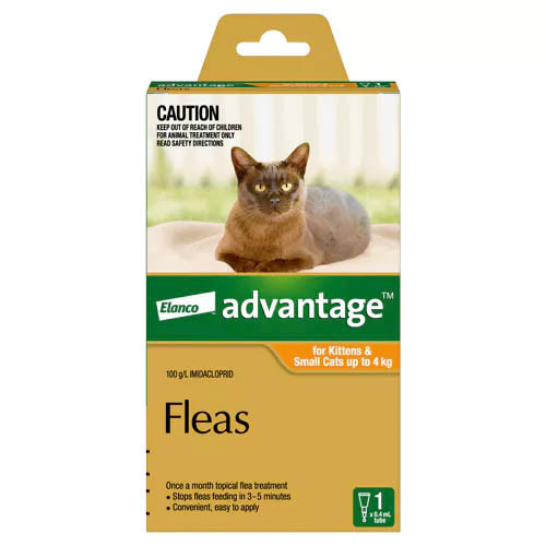 Advantage For Kittens/Small Cats Up To 4kg - Single