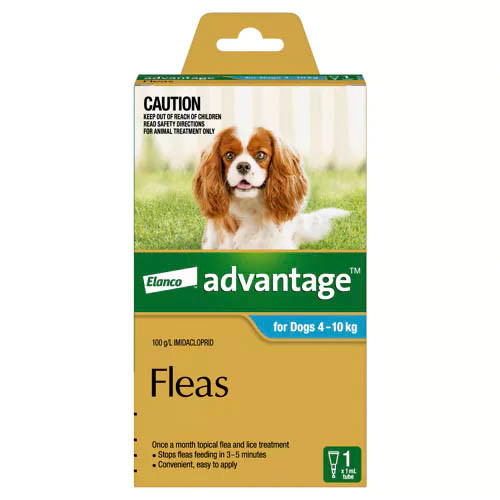 Advantage For Dogs (Medium) 4-10kg - Single