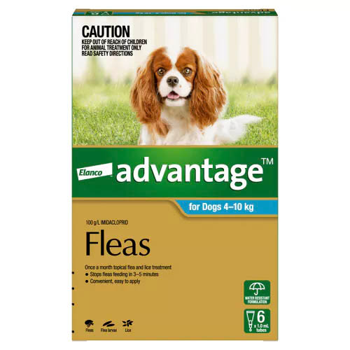 Advantage For Dogs (Medium) 4-10kg - 6 Pack
