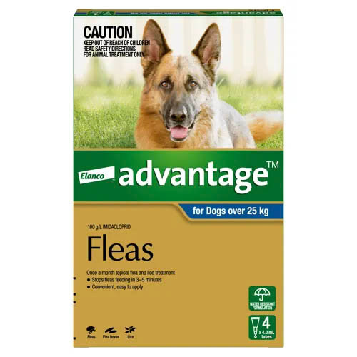 Advantage For Dogs (Extra Large) Over 25kg - 4 Pack