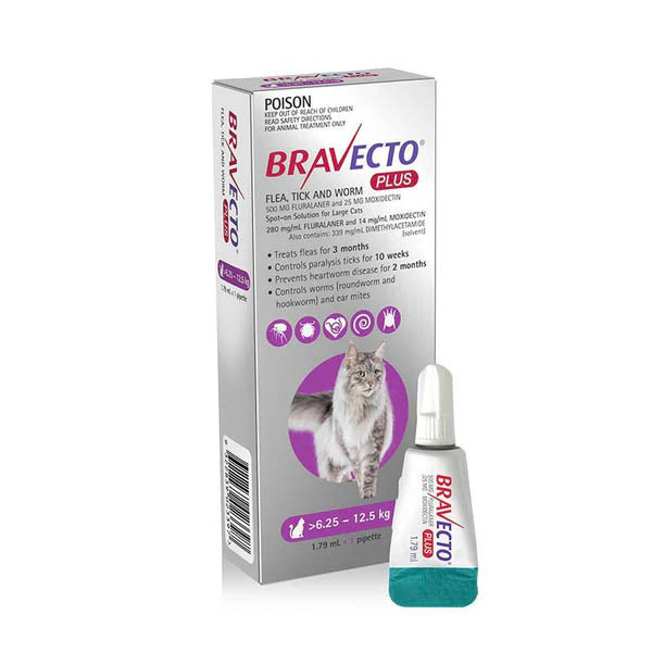 Bravecto Plus Spot-On for Large Cats 6.25-12.5kg (Purple) - 2 x Dose