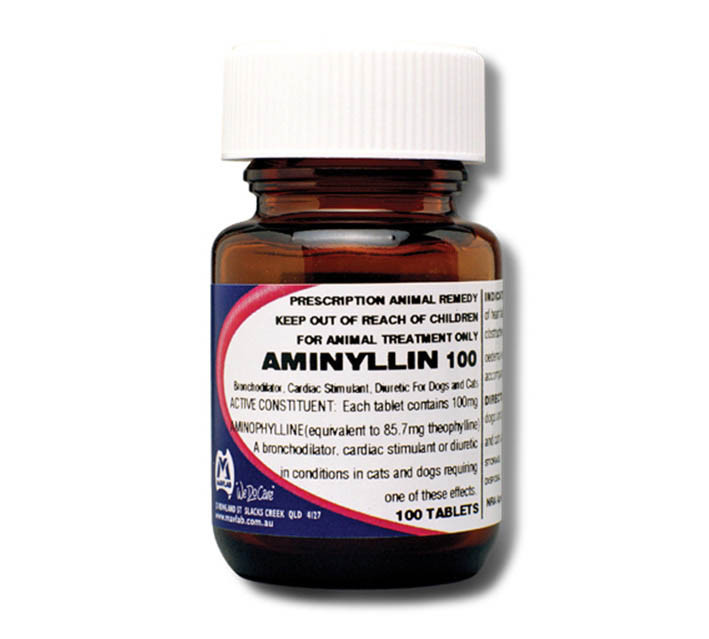 Aminyllin 100mg Tab - 100 Tablets