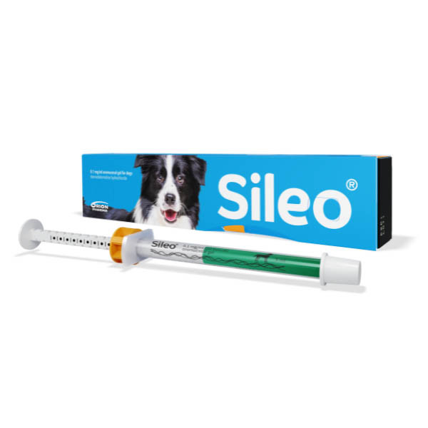 Sileo Oromucosal Gel For Dogs - 3ml