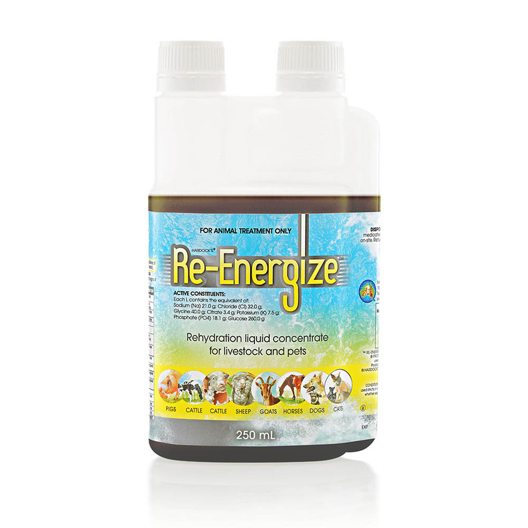 Re-energize - 250ml