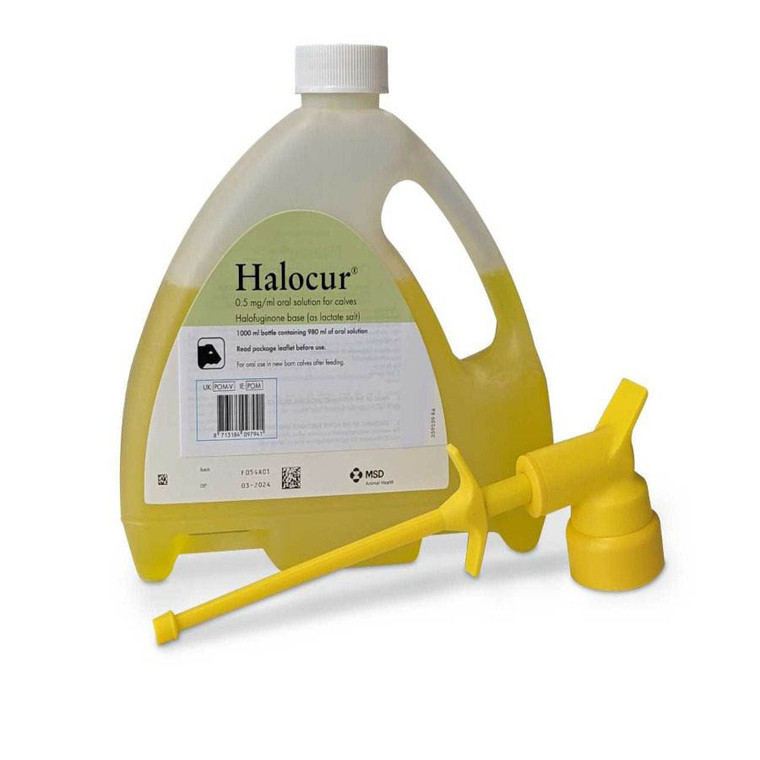 Halocur Refill Pack - 980ml