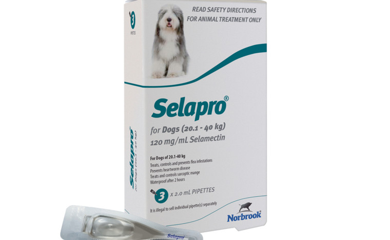 Selapro Spot On for Large Dogs 20.1-40kg - 3pk