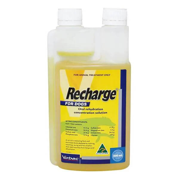 Recharge for Dogs - 1L