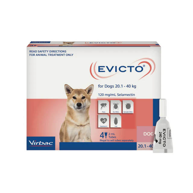 Evicto Large Dog (20-40kg) - 4 pipettes