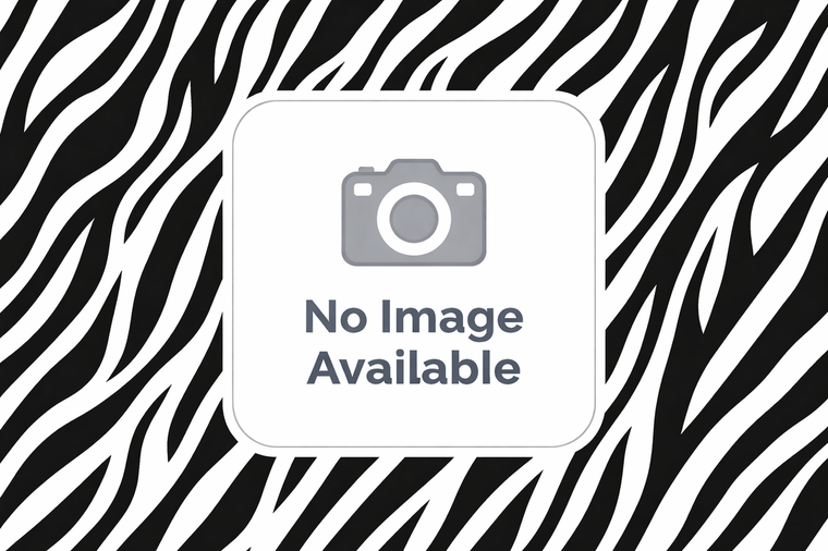 Fentanyl (Sandoz) 12mcg Patch (Pack of 5)