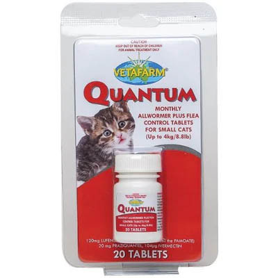 Quantum Tabs for Small Cats - 20