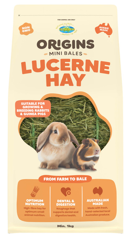 Origins Mini Bales Lucerne Hay