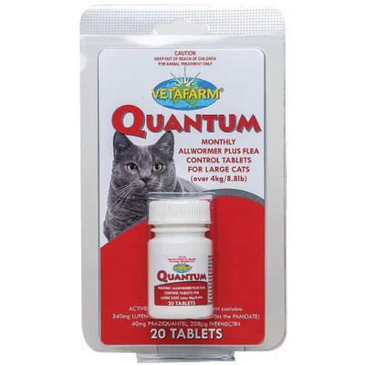 Quantum Tabs for Large Cats - 20