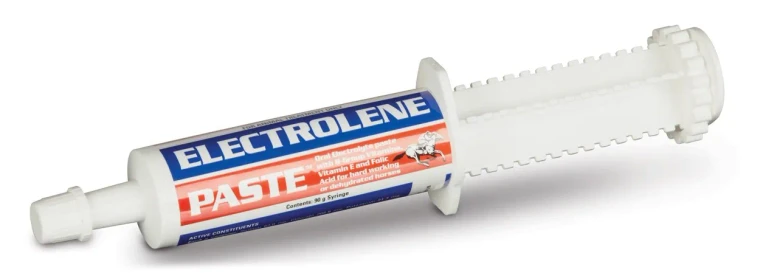 Electrolene Paste 60g