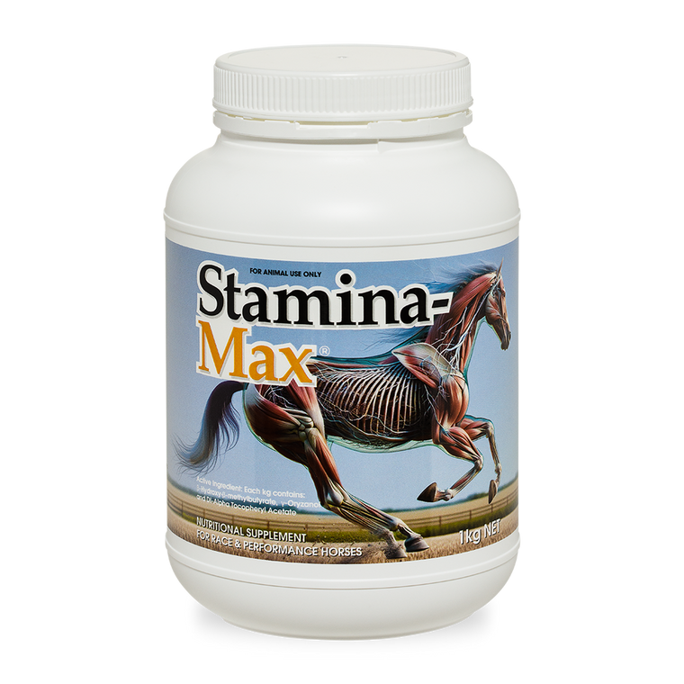 Stamina-max - 1kg