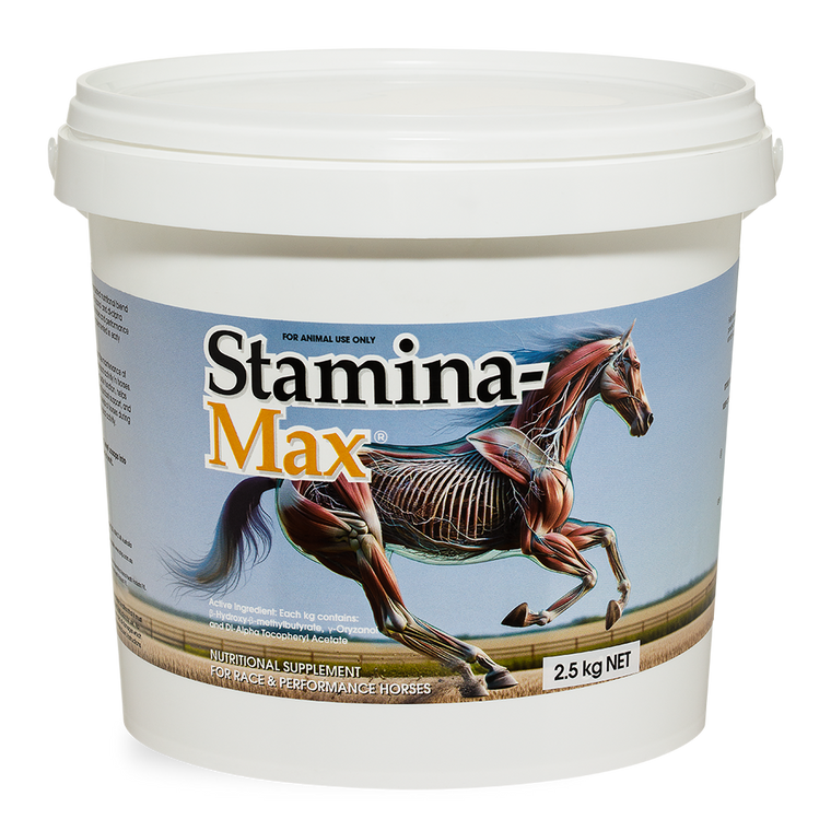 Stamina-max - 2.5kg