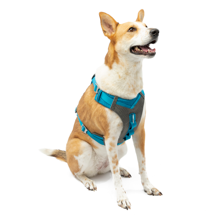 Kurgo Journey Air Harness - Blue XL