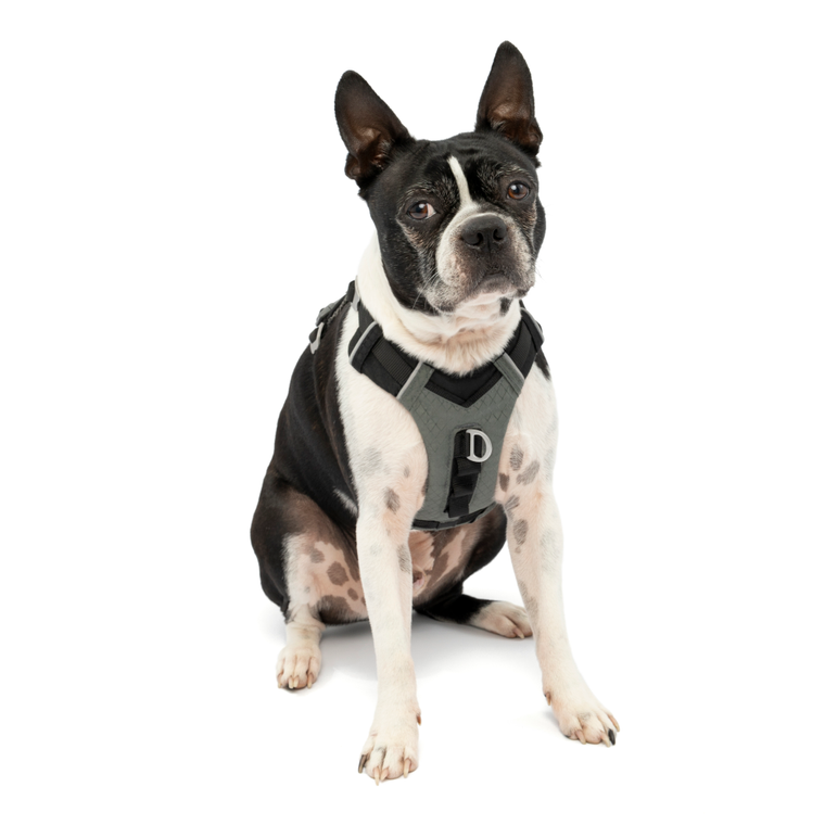Kurgo Journey Air Harness - Black/ Grey SM