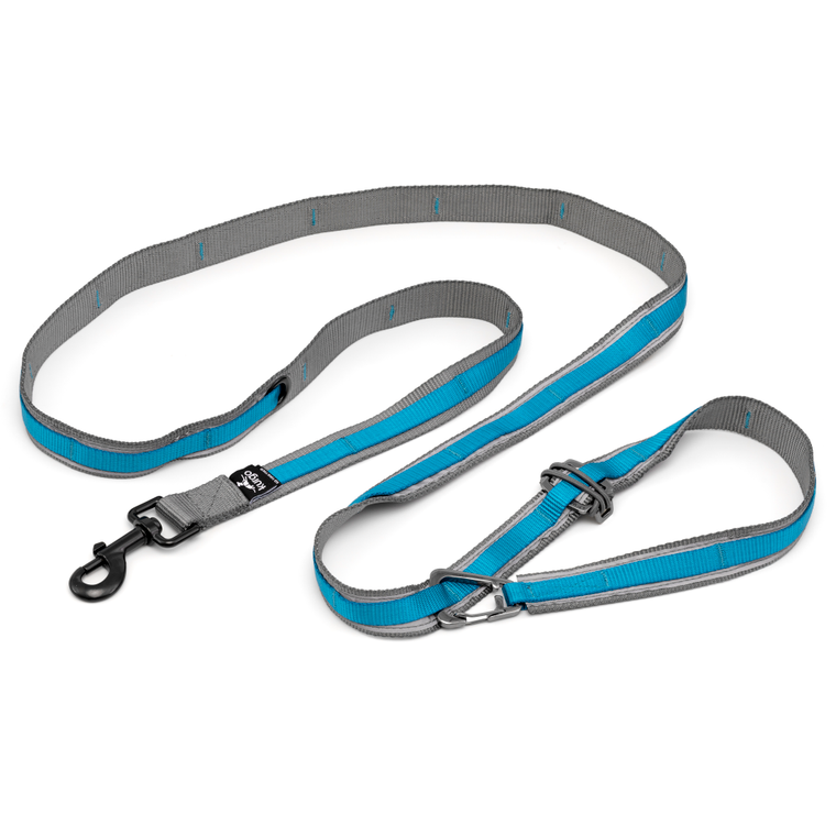 Kurgo Quantum Leash 2.0, Blue