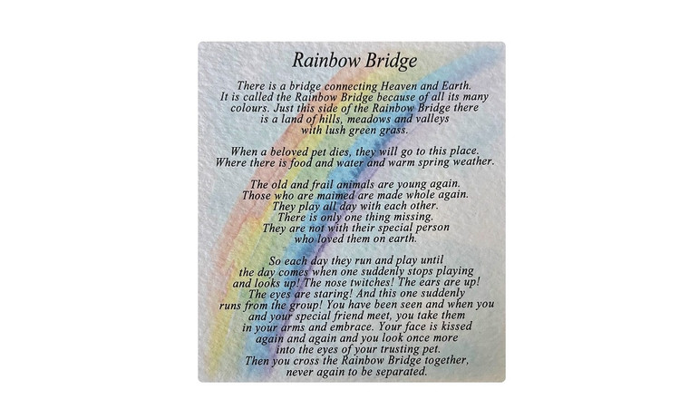 Sarah Brown Sympathy Card - Poem Insert Rainbow Bridge - PACK OF 10
