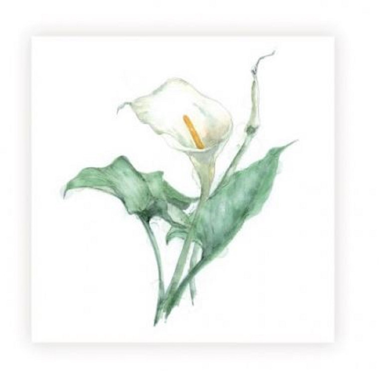 Sarah Brown Sympathy Card - Lily - PACK OF 10