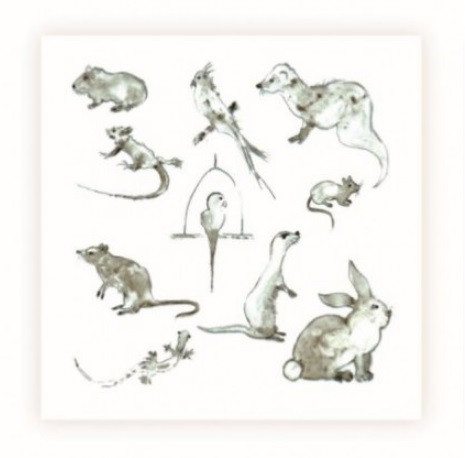 Sarah Brown Sympathy Card - Exotic Pet Mix - PACK OF 10