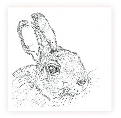 Sarah Brown Sympathy Card - Rabbit Head - PACK OF 10