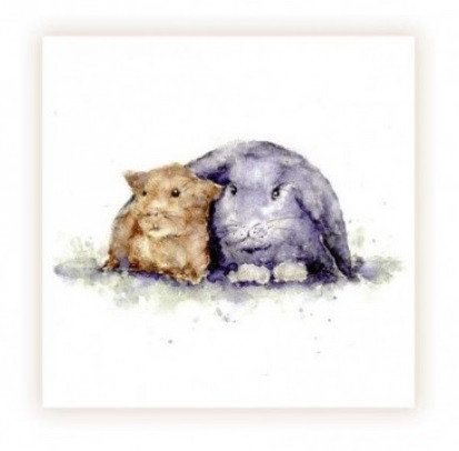 Sarah Brown Sympathy Card - Rabbit And Guinea Pig - PACK OF 10
