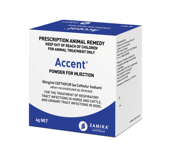 Accent Ceftiofur 50mg/ml - Powder for Injection 4g