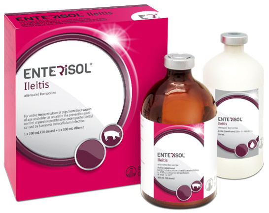 Enterisol Ileitis - 1200 Doses