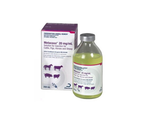 Metacoxx Inj 20mg/ml - 250ml