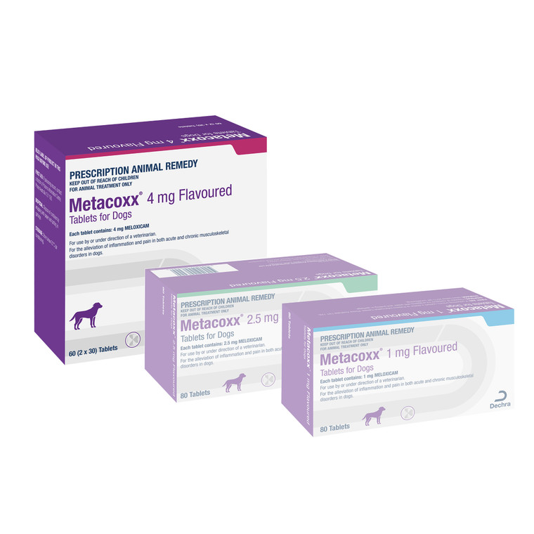 Metacoxx/Meloxicam Flavoured Tablets 4mg 60s